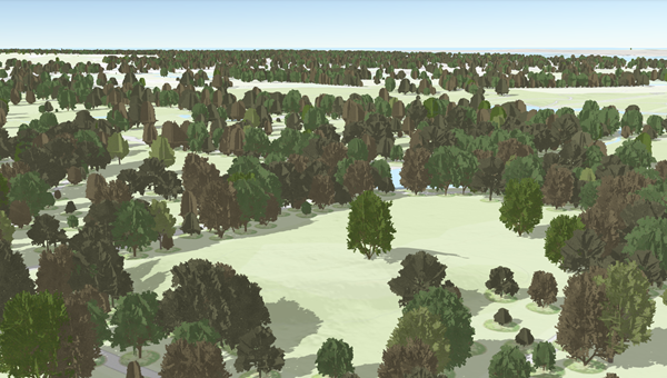 Trees as 3D points Trees as 3D points